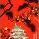 Illustration for article titled 13 Gorgeous Travel Posters From 1930s Japan